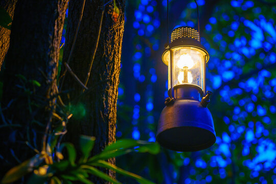 antique oil lamp hanging on a tree in the forest in the evening camping atmosphere.Travel Outdoor Concept image.soft focus.