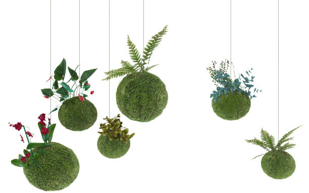 こけ玉工場3d レンダリング - 苔玉 ストックフォトと画像